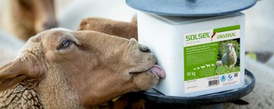 SOLSEL® UNIVERSAL 10kg