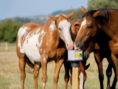 SOLSEL® Multi 10kg