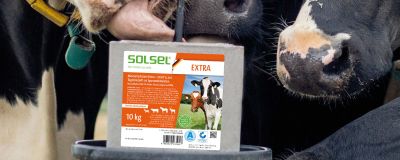 SOLSEL® extra 1/3 10kg