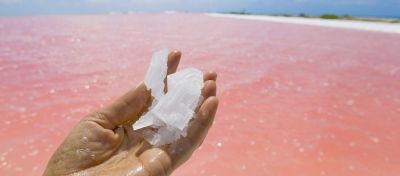 MARSEL® 0,2-0,8 mm – morská jedlá soľ